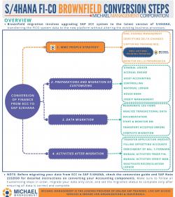 < Steps for S/4 HANA FICO Brownfield Conversion