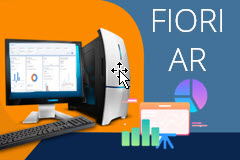 S/4 Finance - Fiori Accounts Receivable Analytics